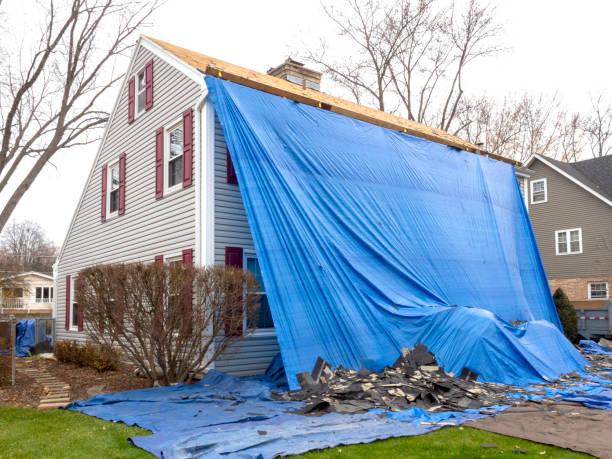 Best Hoarding Cleanup  in Dubach, LA